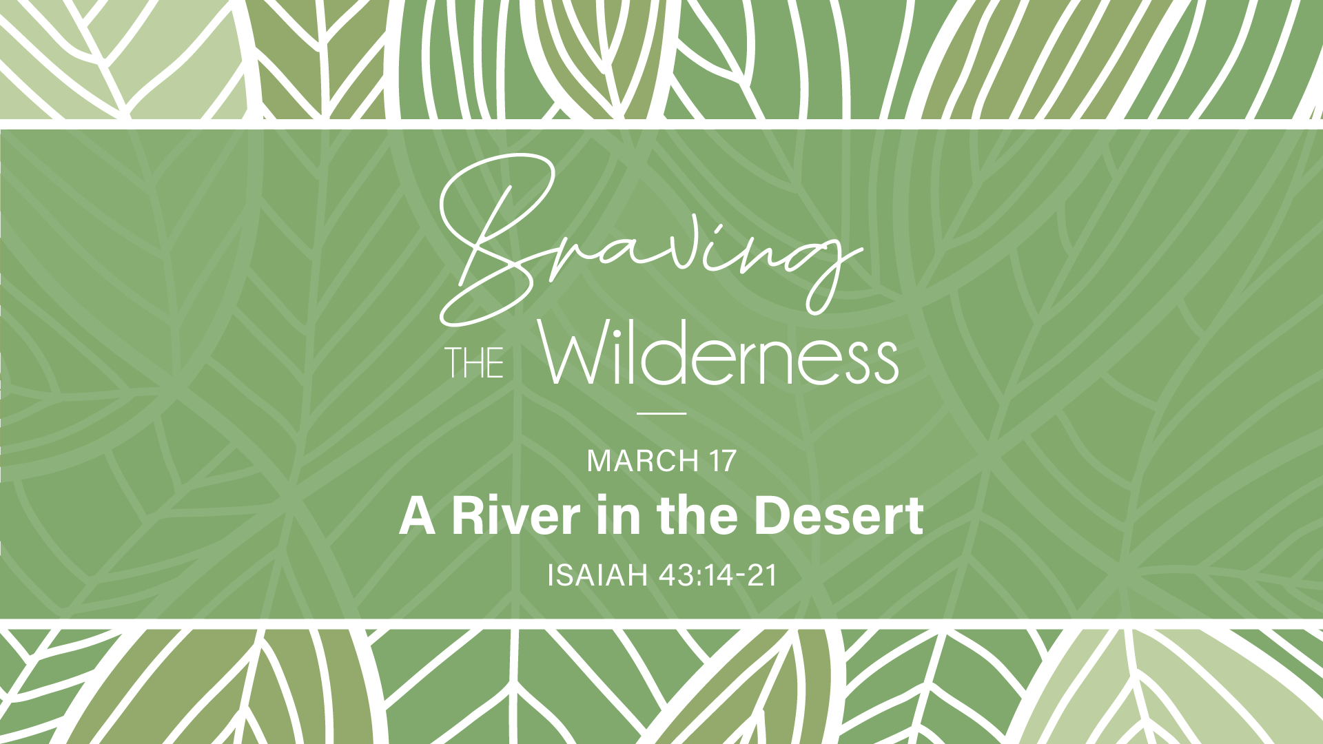 Braving the Wilderness: A River in the Desert